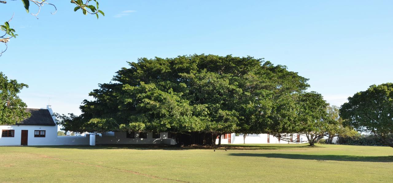De Hoop Collection Suites De Hoop Nature Reserve Exterior photo