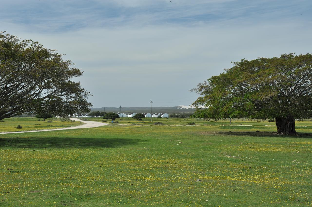 De Hoop Collection Suites De Hoop Nature Reserve Exterior photo