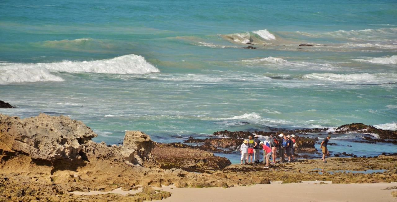 De Hoop Collection Suites De Hoop Nature Reserve Exterior photo